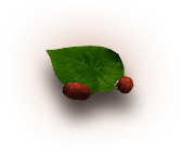 growing-item-img