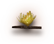 growing-item-img